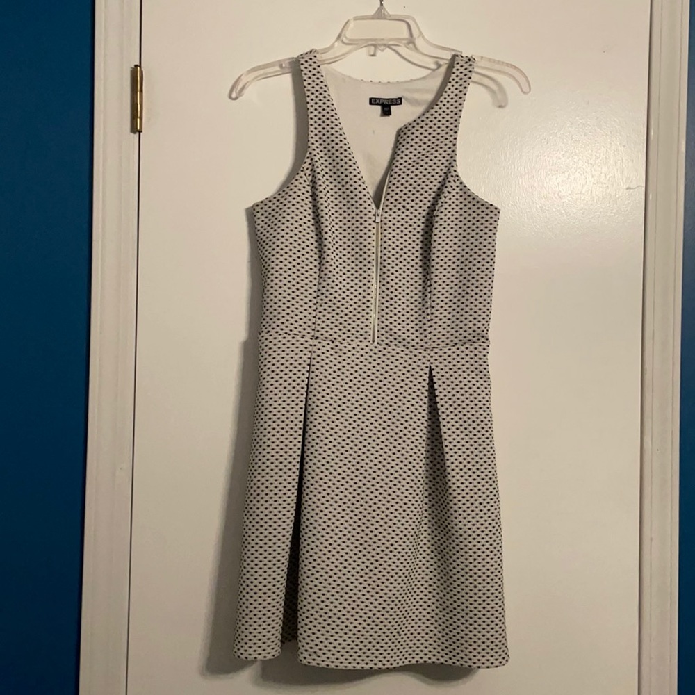Express fit and flare dress